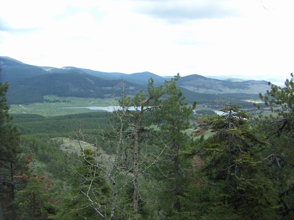PICT0646.jpg