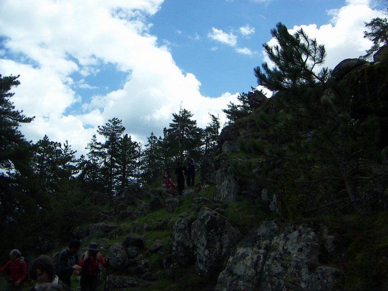 PICT0655_resize.JPG