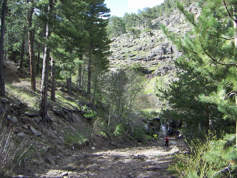 PICT0660_resize.JPG