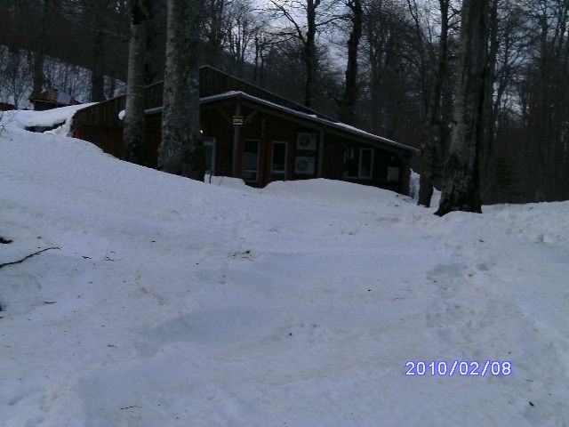 PICT0814.jpg