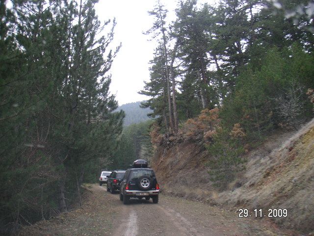PICT1216.jpg