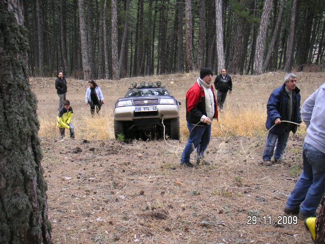 PICT1230.jpg