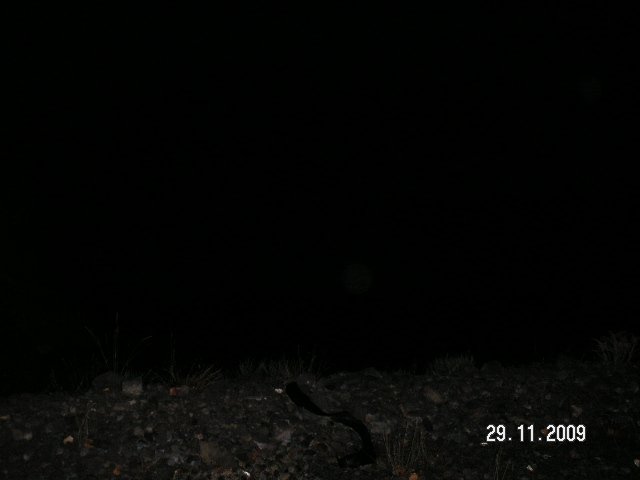PICT1249.jpg