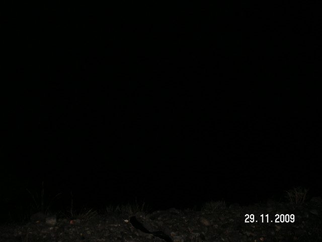 PICT1250.jpg