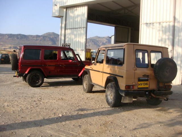 Picture_2233.jpg