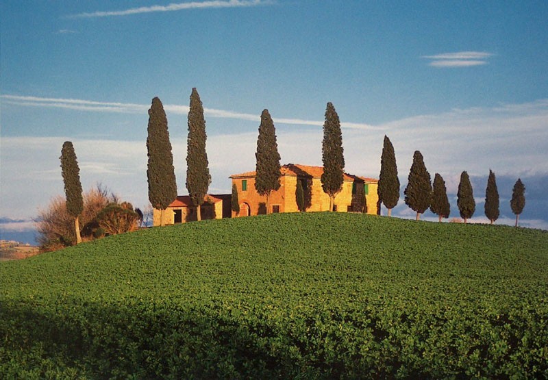 pienza-landscape2.jpg