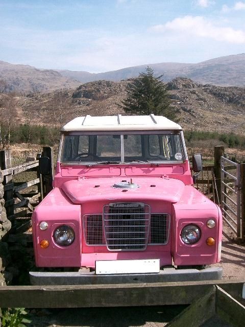 Pink%20Landy.jpg