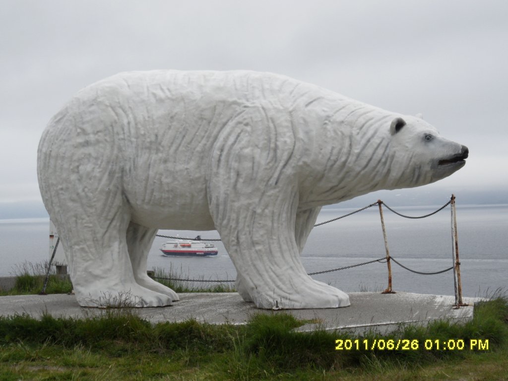 Polar ayisinin karninin altindan gecen gemi, Bergen-Kirkenes arasinda calisan meshur posta gemisi- H