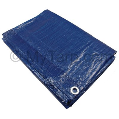 poly_blue_tarp_400x400.jpg