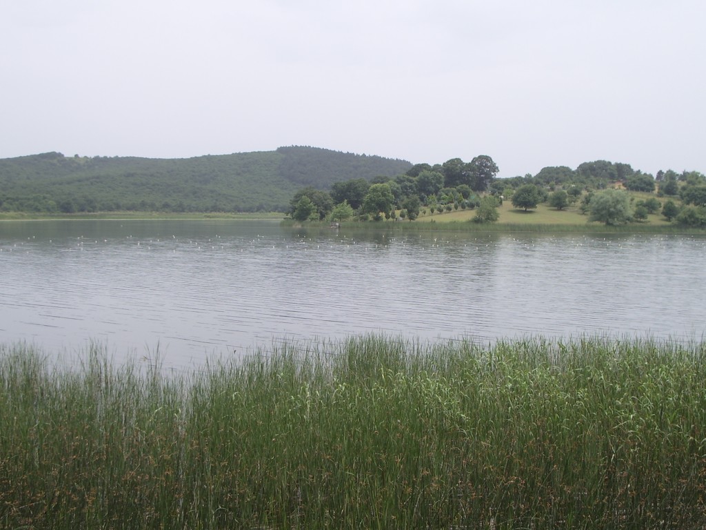 POYRAZLAR GÃƒÂƒÃ‚ÂƒÃƒÂ‚Ã‚Â–LÃƒÂƒÃ‚ÂƒÃƒÂ‚Ã‚Âœ 2 003.JPG