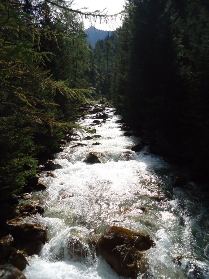 Prade-BergÃƒÂƒÃ‚ÂƒÃƒÂ‚Ã‚Â¼n GraubÃƒÂƒÃ‚ÂƒÃƒÂ‚Ã‚Â¼nden (72).JPG