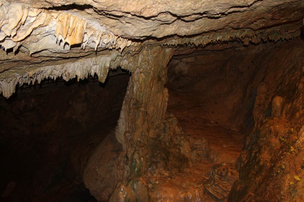 Resize of IMG_3950.jpg