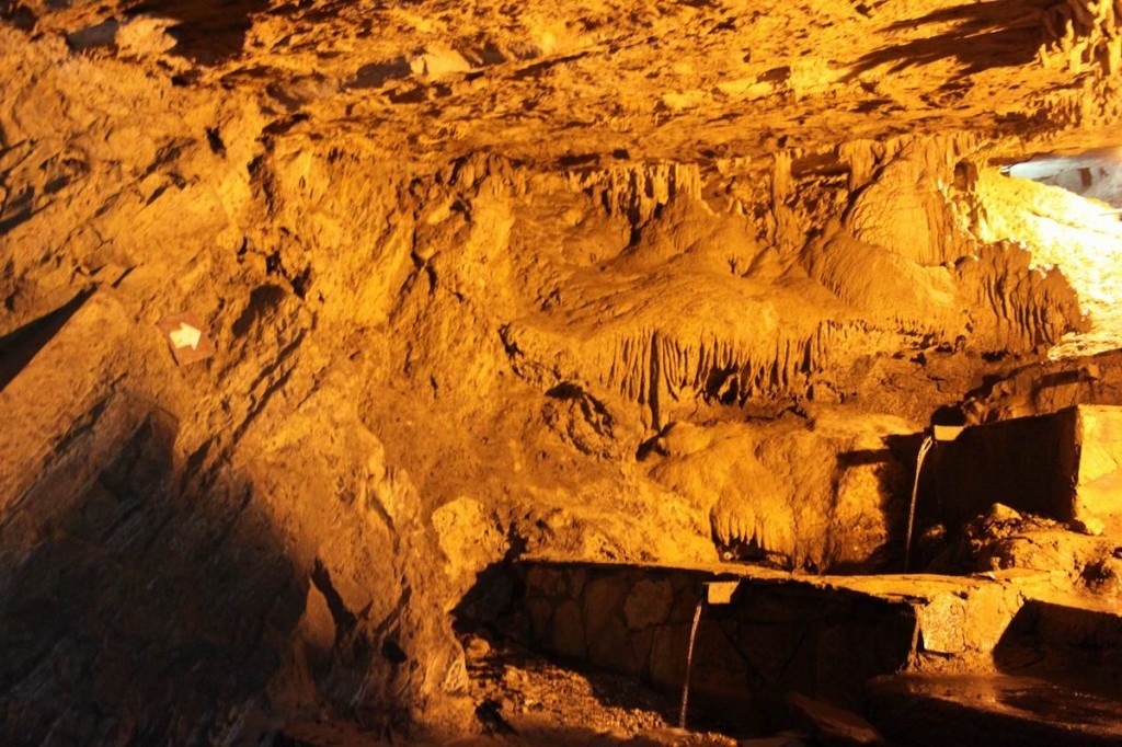 Resize of IMG_3957.jpg