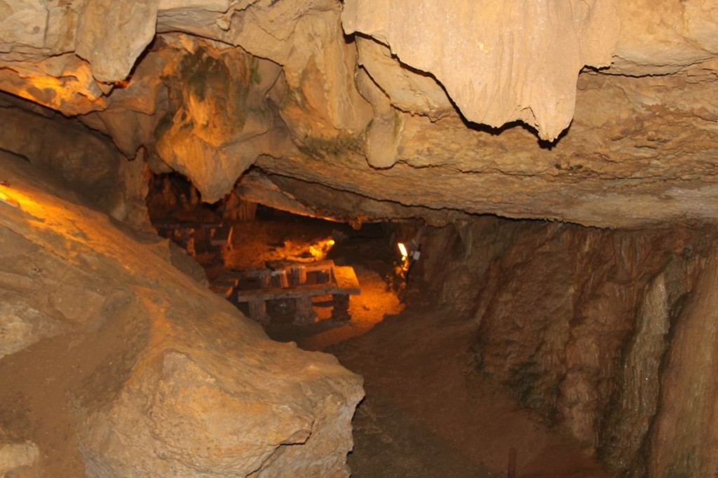 Resize of IMG_3962.JPG