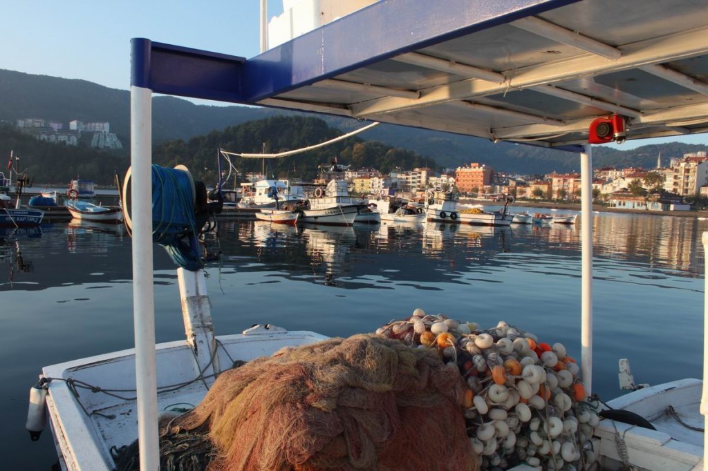 Resize of IMG_4057.JPG