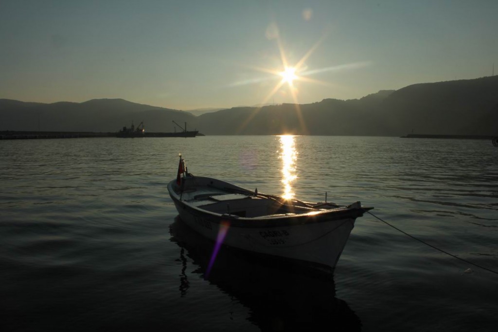 Resize of IMG_4073.JPG