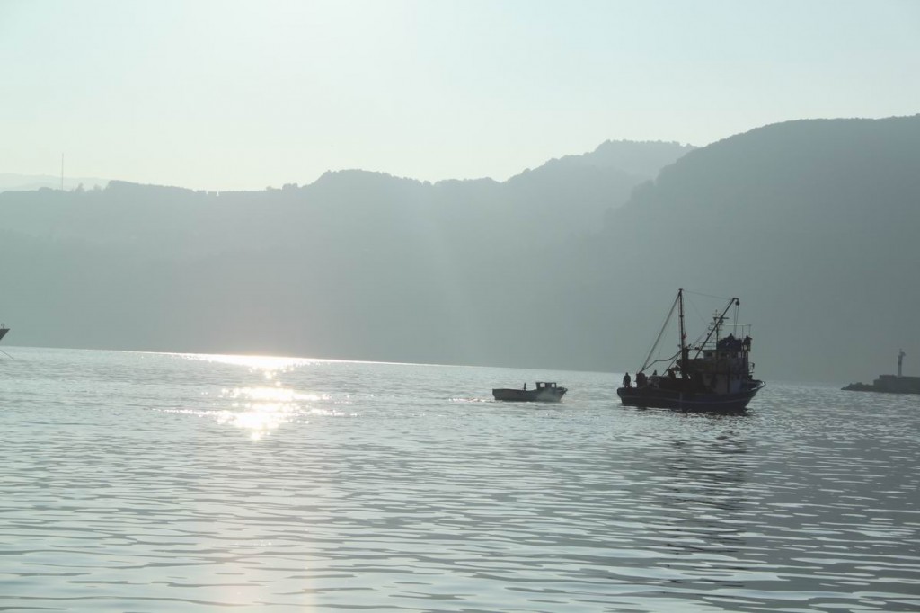 Resize of IMG_4115.JPG