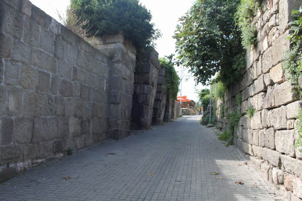 Resize of IMG_4213.JPG