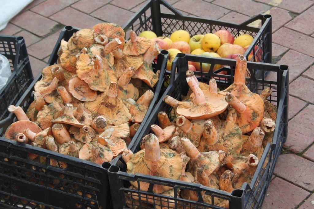 Resize of IMG_4328.JPG