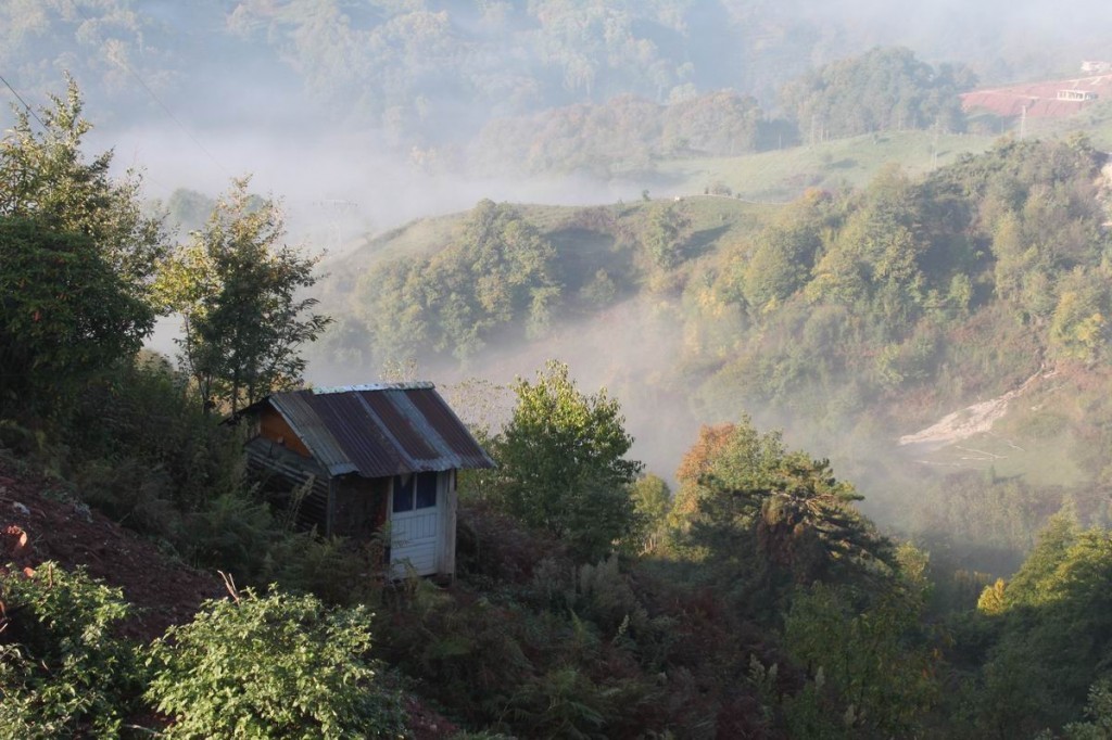 Resize of IMG_4367.JPG