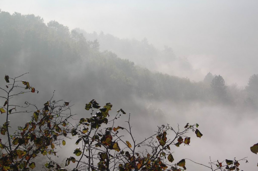 Resize of IMG_4368.JPG