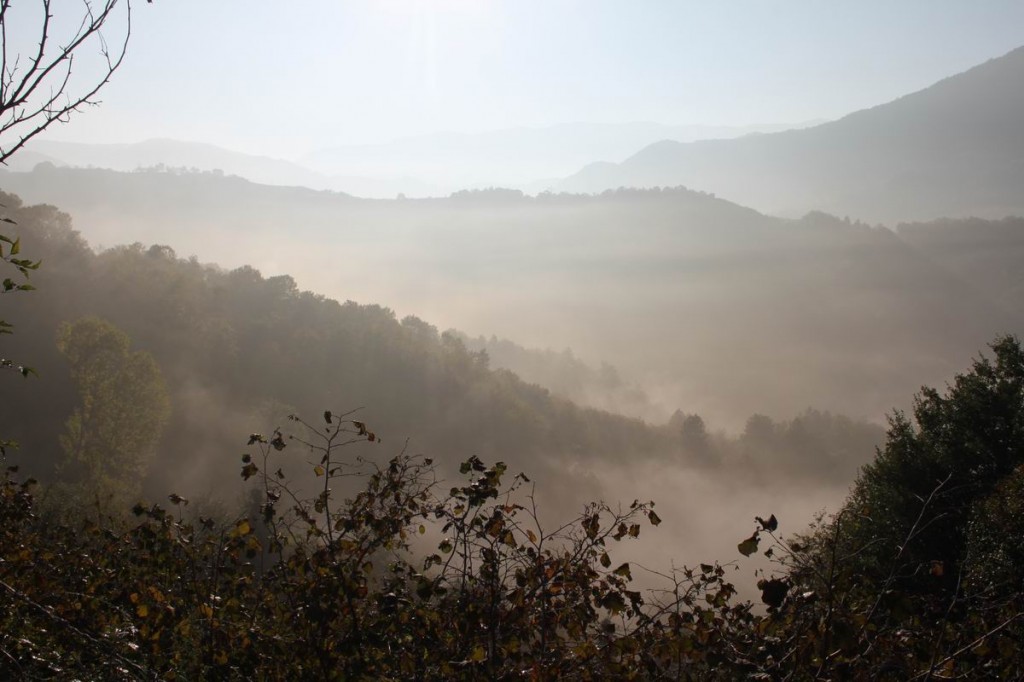 Resize of IMG_4369.JPG