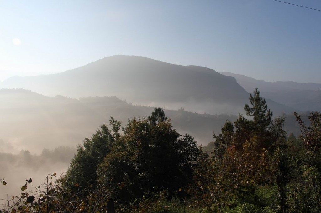 Resize of IMG_4371.JPG