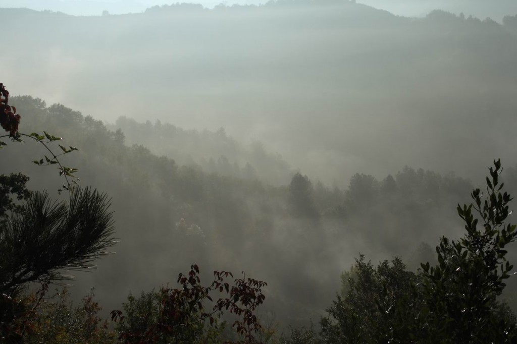 Resize of IMG_4378.JPG