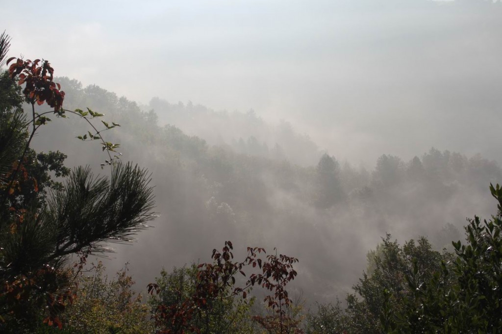 Resize of IMG_4379.JPG