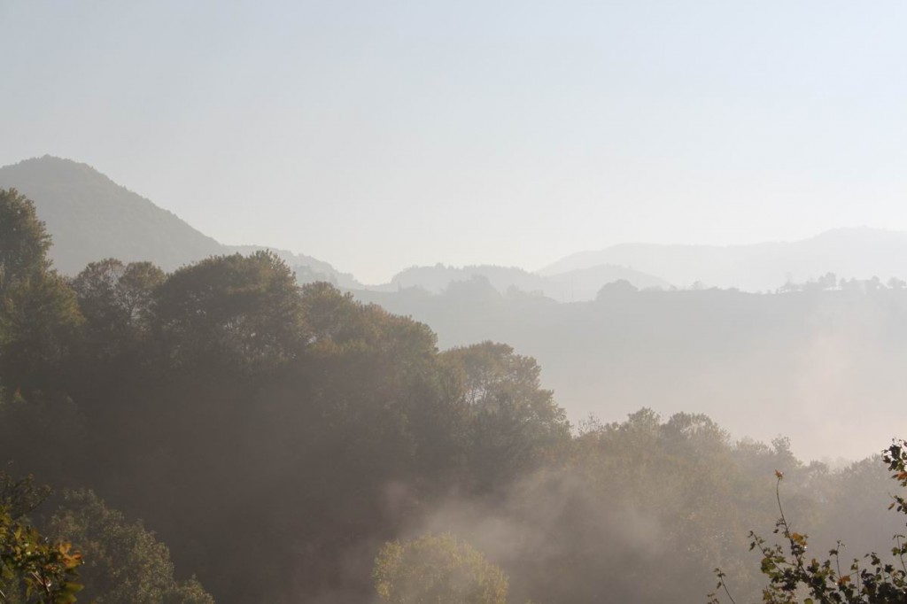 Resize of IMG_4382.JPG