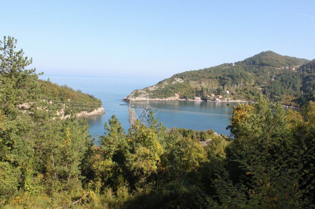 Resize of IMG_4400.jpg