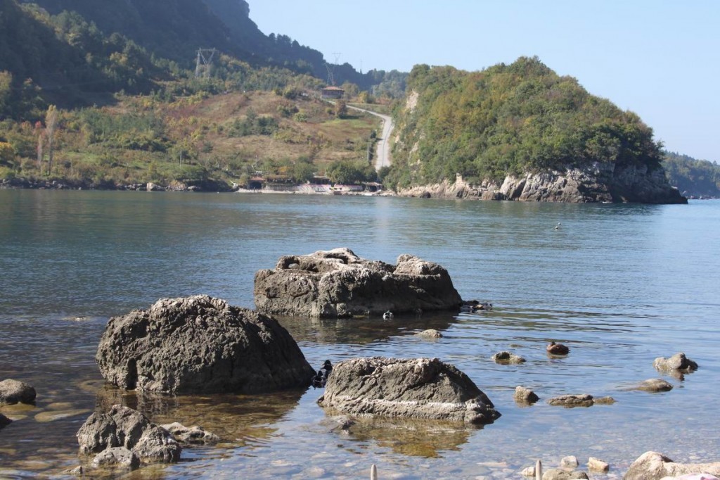 Resize of IMG_4407.jpg