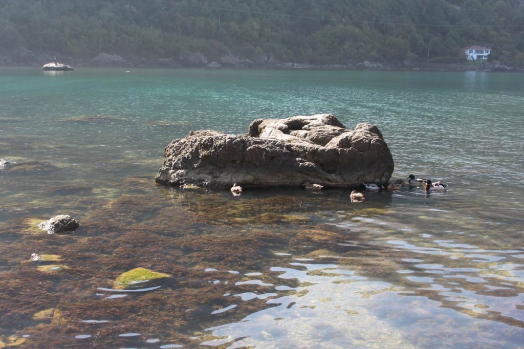 Resize of IMG_4411.JPG