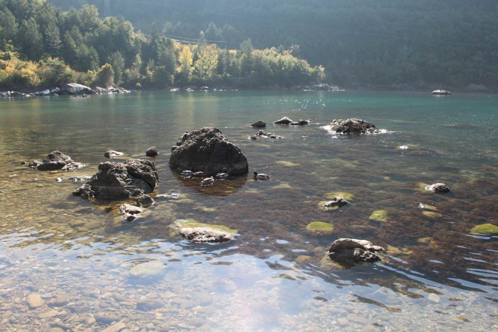 Resize of IMG_4412.JPG