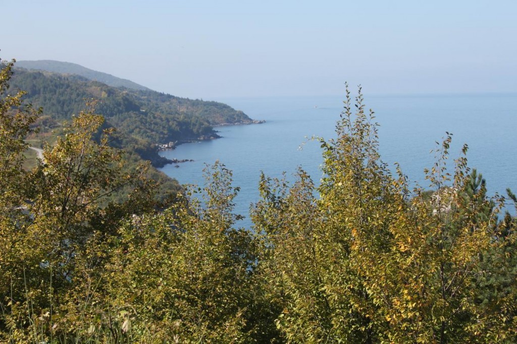 Resize of IMG_4419.JPG