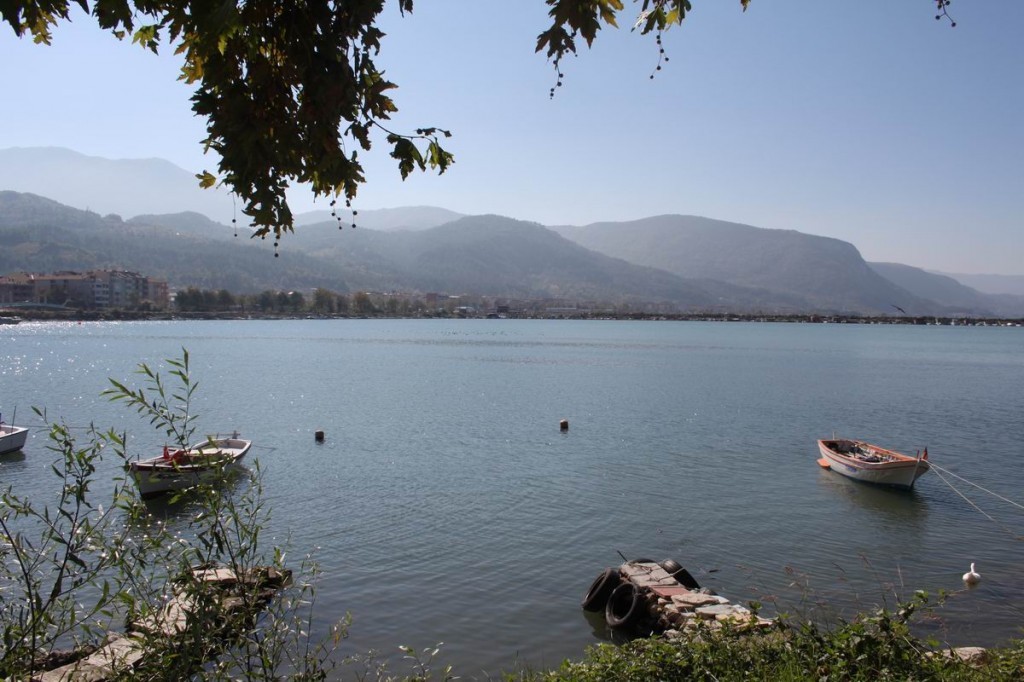 Resize of IMG_4427.JPG