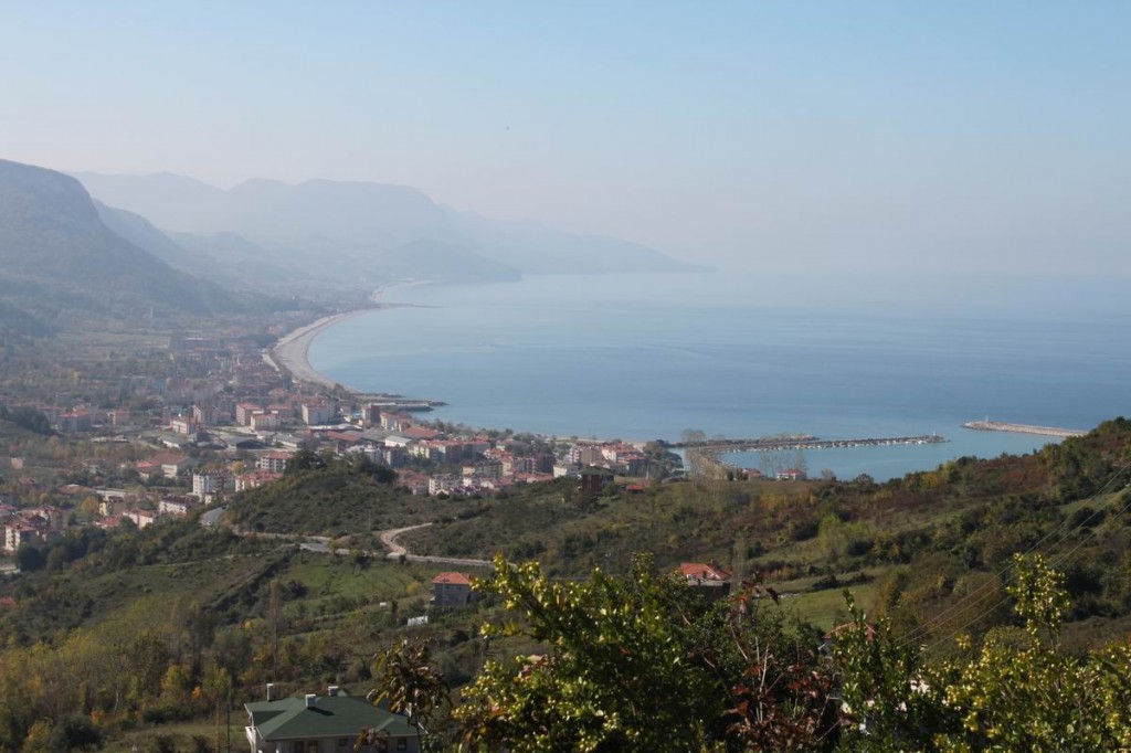 Resize of IMG_4440.JPG