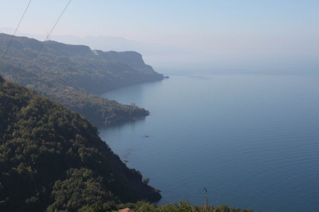 Resize of IMG_4442.JPG