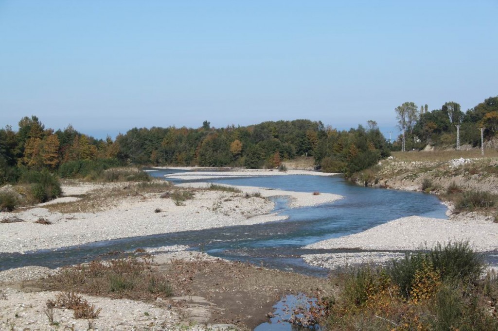 Resize of IMG_4451.jpg