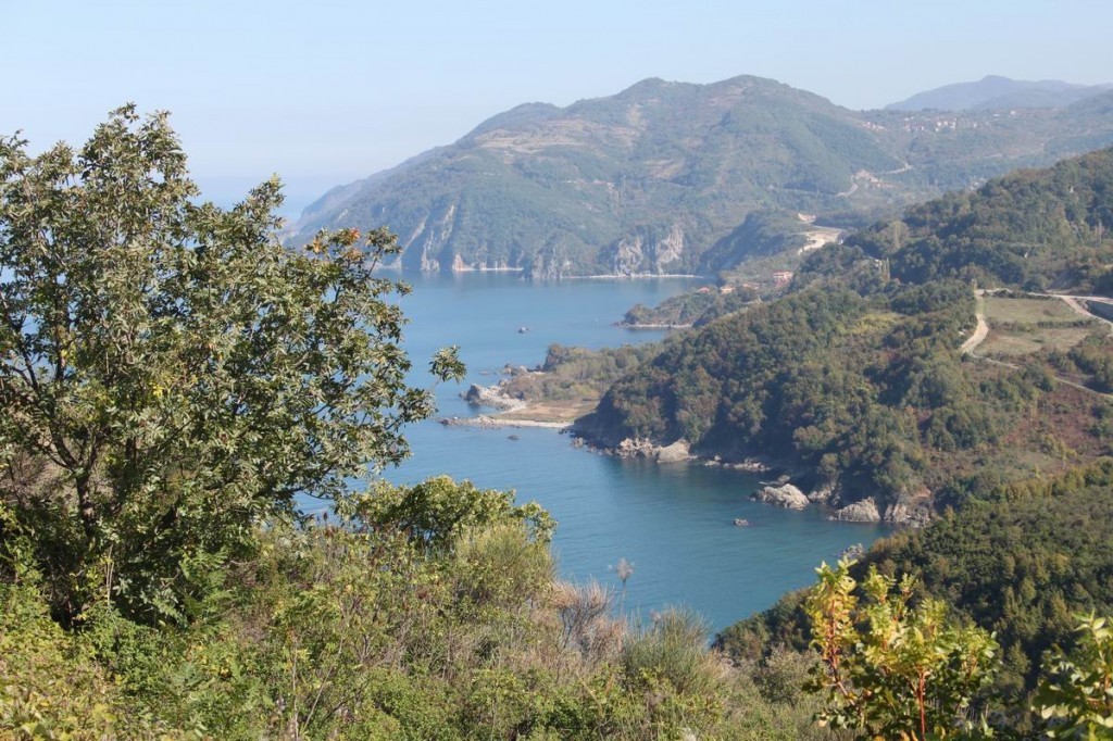 Resize of IMG_4452.JPG