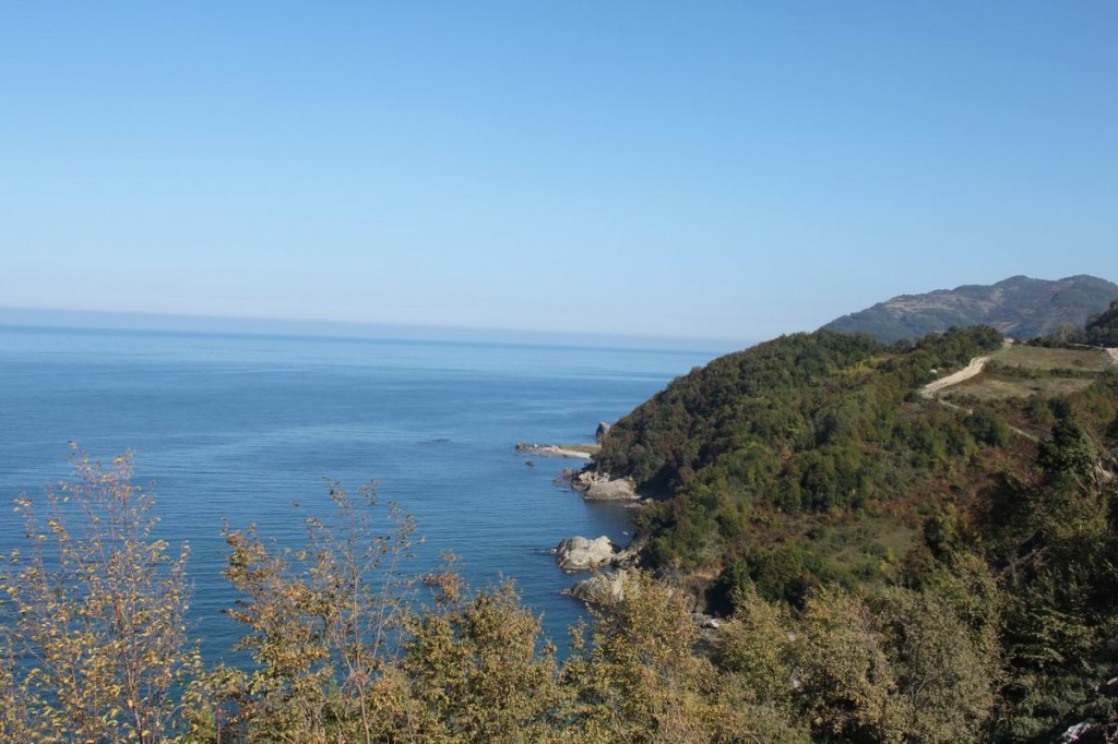 Resize of IMG_4458.JPG