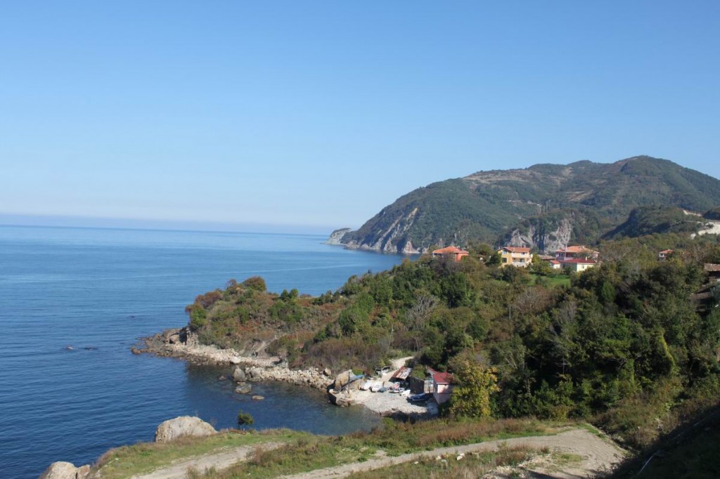 Resize of IMG_4460.JPG