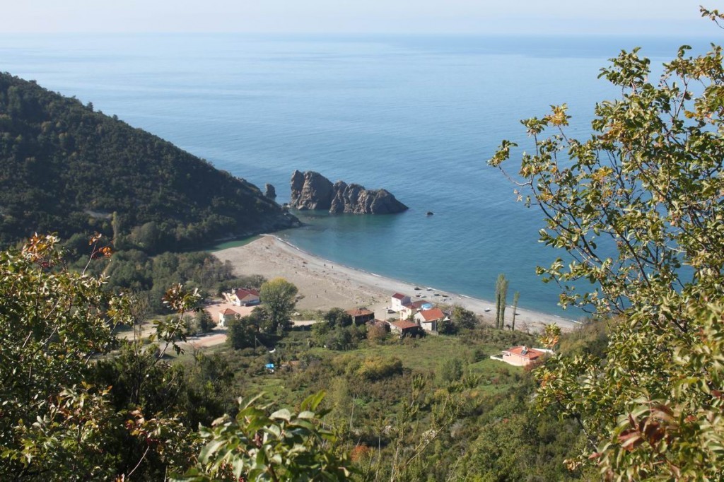 Resize of IMG_4465.JPG