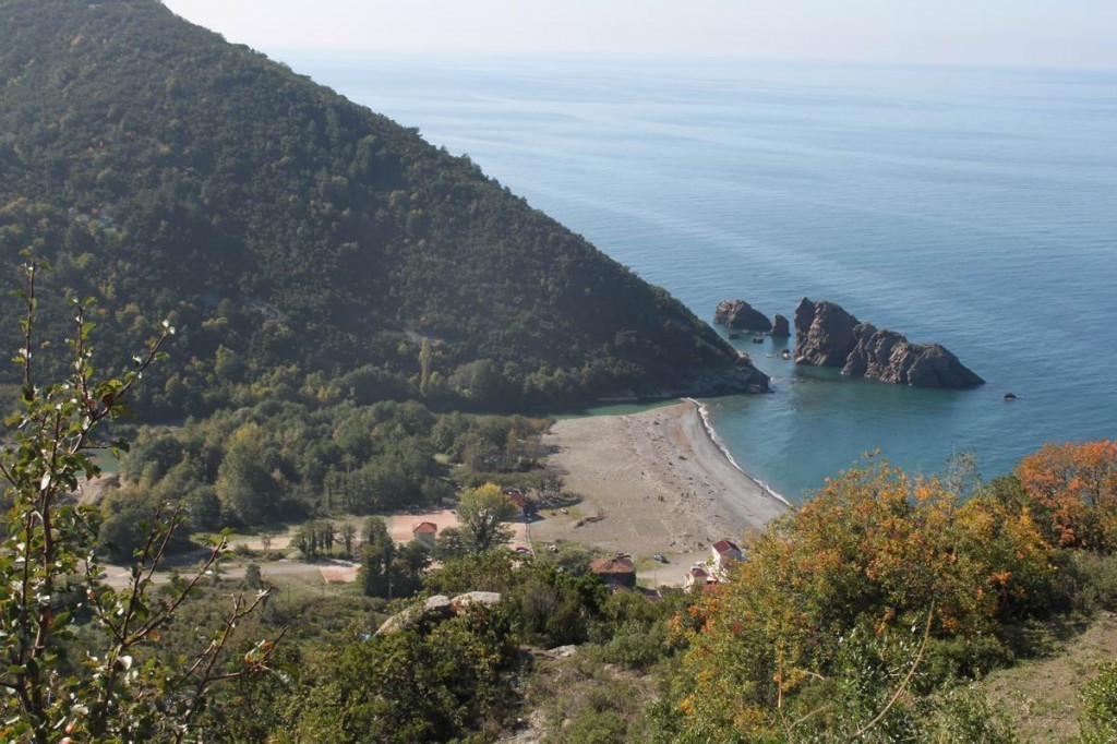 Resize of IMG_4467.jpg