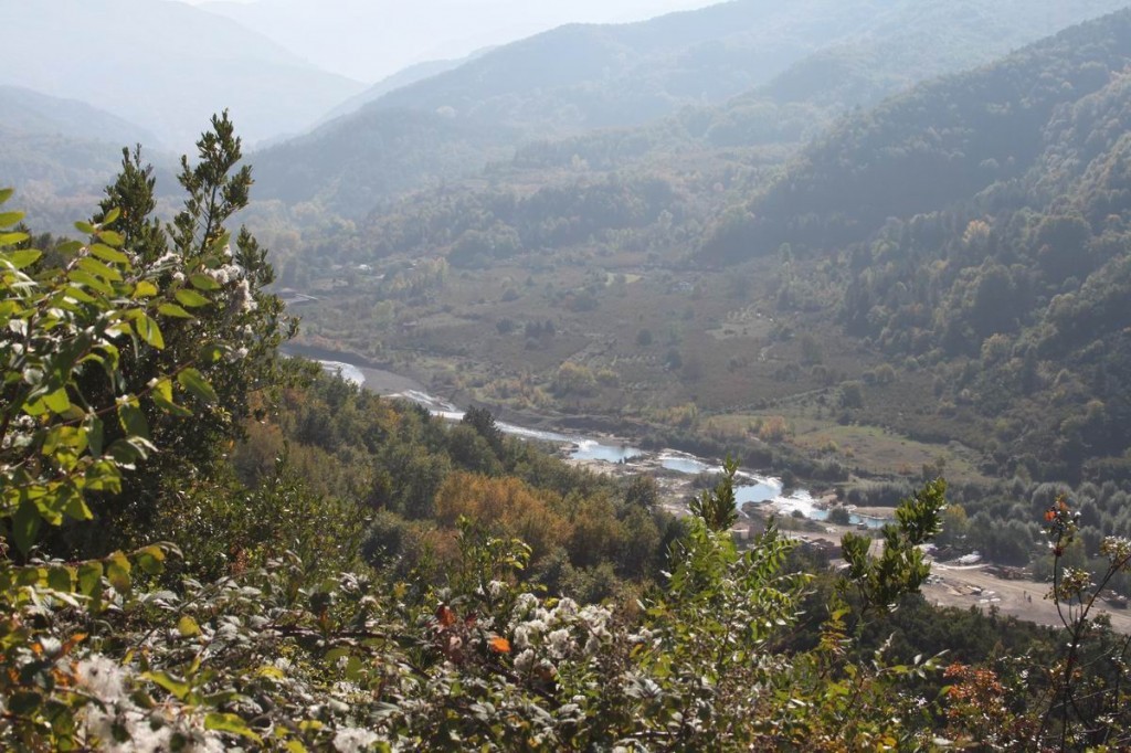 Resize of IMG_4468.jpg