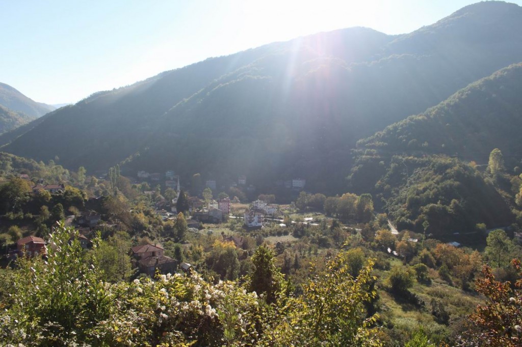 Resize of IMG_4473.JPG