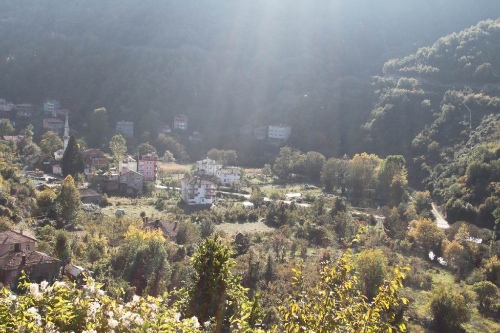 Resize of IMG_4474.JPG