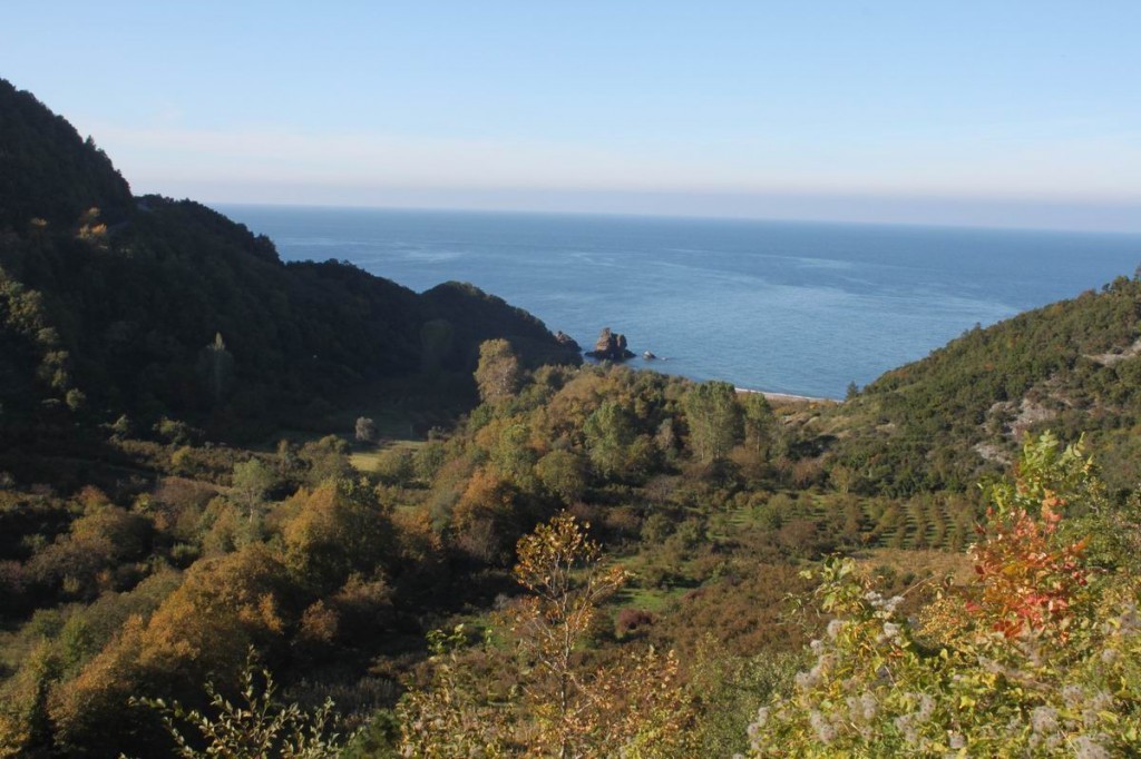 Resize of IMG_4475.jpg