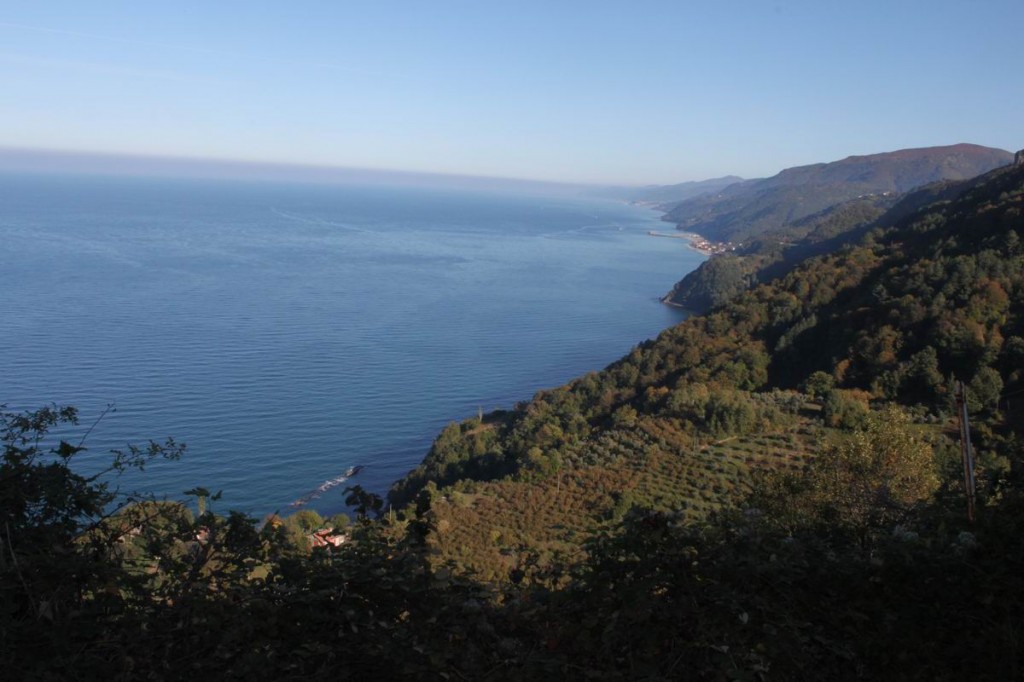 Resize of IMG_4478.JPG