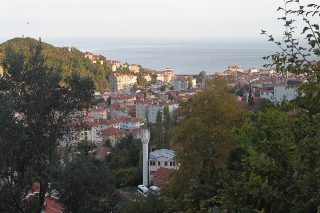 Resize of IMG_4561.JPG